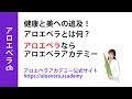 アロエベラとは