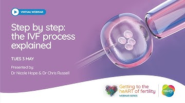 Step by step: the IVF Process explained