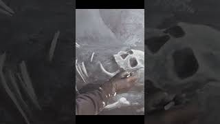 SKULLS and BONES – How to Paint a Mural with Acrylics
