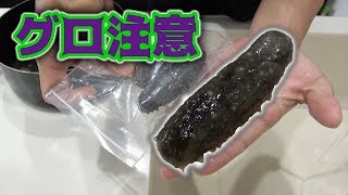 食べるまでに3日かかる中国の超高級食材買ってみた！！
