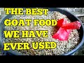 The World's Best Goat Feed - What do I feed my goats?