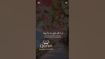 Ayat al-Kursi | Powerful Quran Verse for Protection & Peace #shorts  #quran #viralvideo