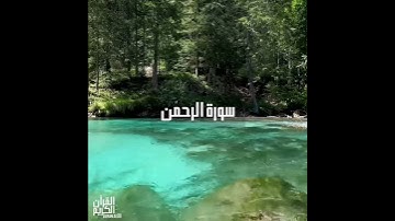 سورة : الرحمن القارئ : هلويست نصر الدين الكردي