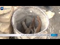 البيض: الحاج خالدي يستخلص القطران من شجر العرعار
