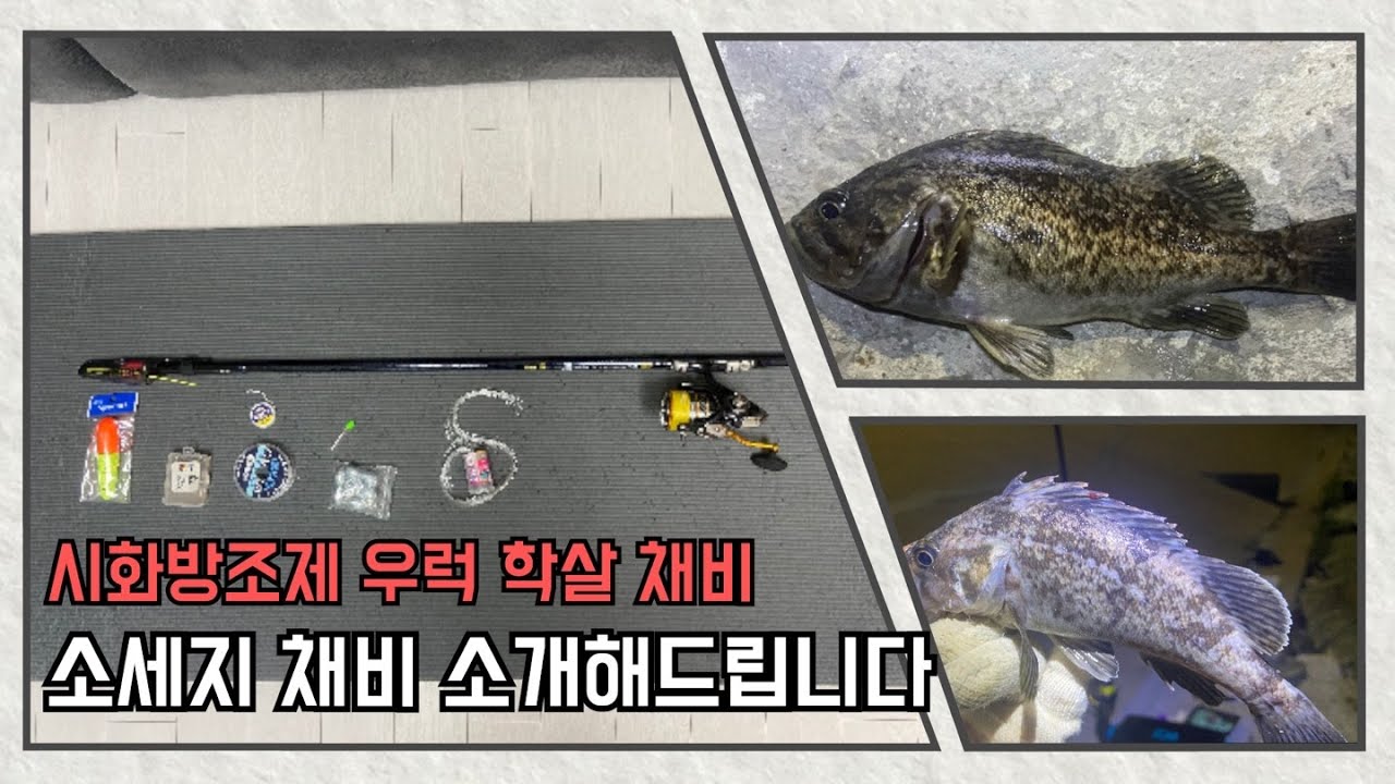 시화방조제 우럭 학살 채비영상 소개해드립니다!