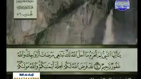 سورة التحريم//لفضيلة الشيخ خالد القحطاني