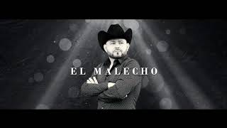 Chuy Jr - El Malecho (Video Lyric)