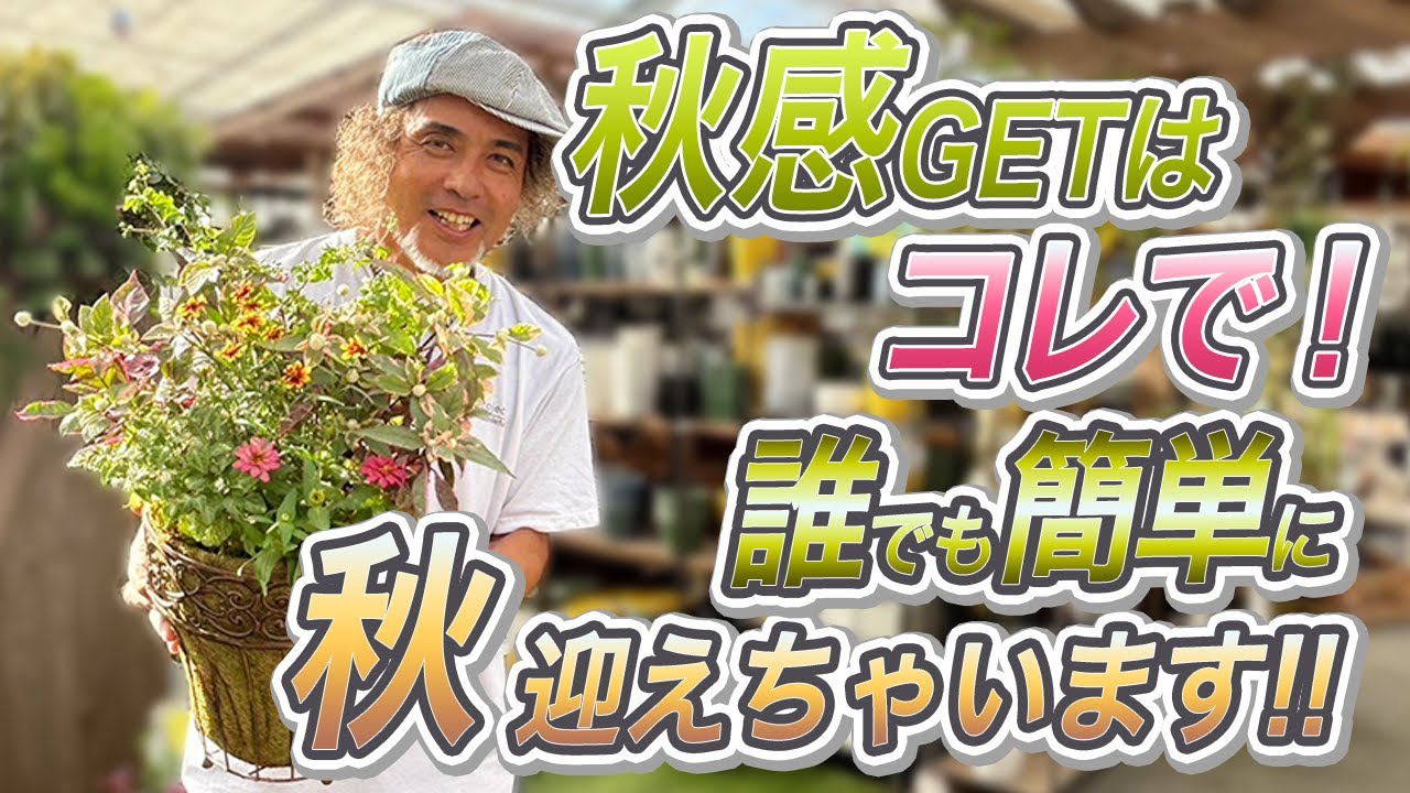 植栽悩んでませんか？ Autumn is the season for gardening! Autumn is the season for