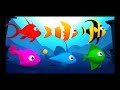 Les petits poissons dans l