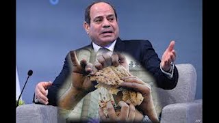 افلاس مصر وسعر الدولار ورحيل الجكومه الاخوان يشكرون عمرو اديب