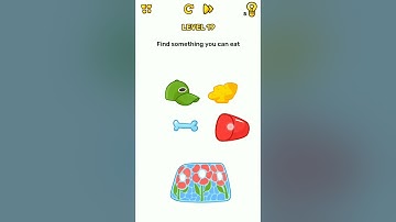 Brain Blow Level 19 find something you can eat.