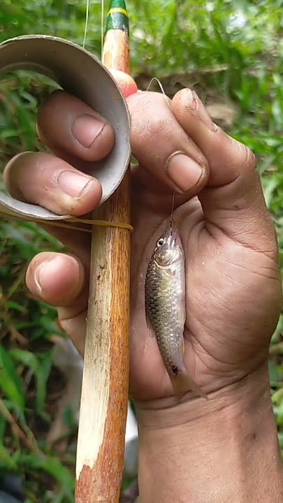 wader babon #fishing #mancingceria #mancing #mancingmania #mancingliar