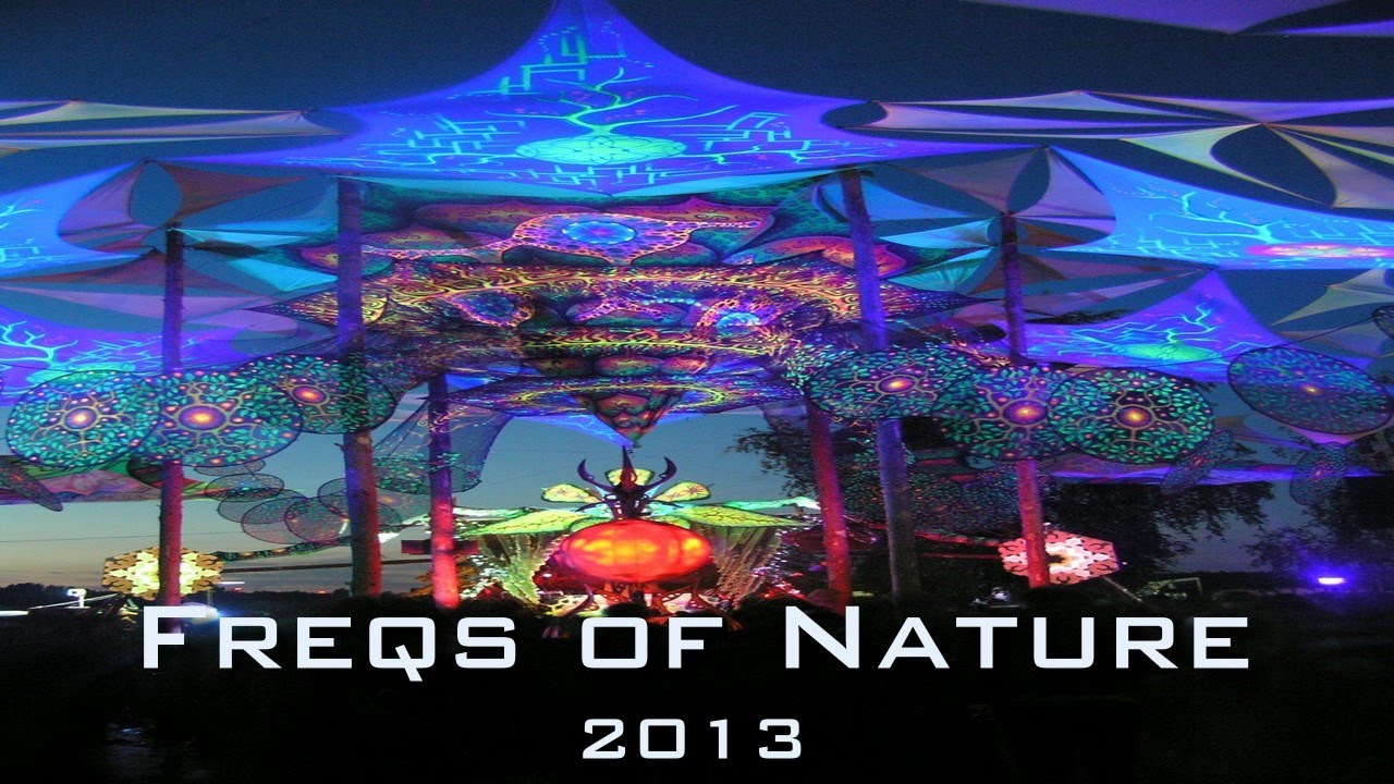 FREQS OF NATURE 2013 Compilation (12min) - Groove and Forest Floor Open Air Goaparty - YouTube