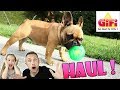 Mega haul gifi  200 euros de cadeaux pour ellie maman papa et mme notre chien okinawa 