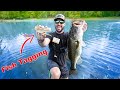 Tagging All of my PET Bass For Research Purposes!! (Backyard Pond 12lber)