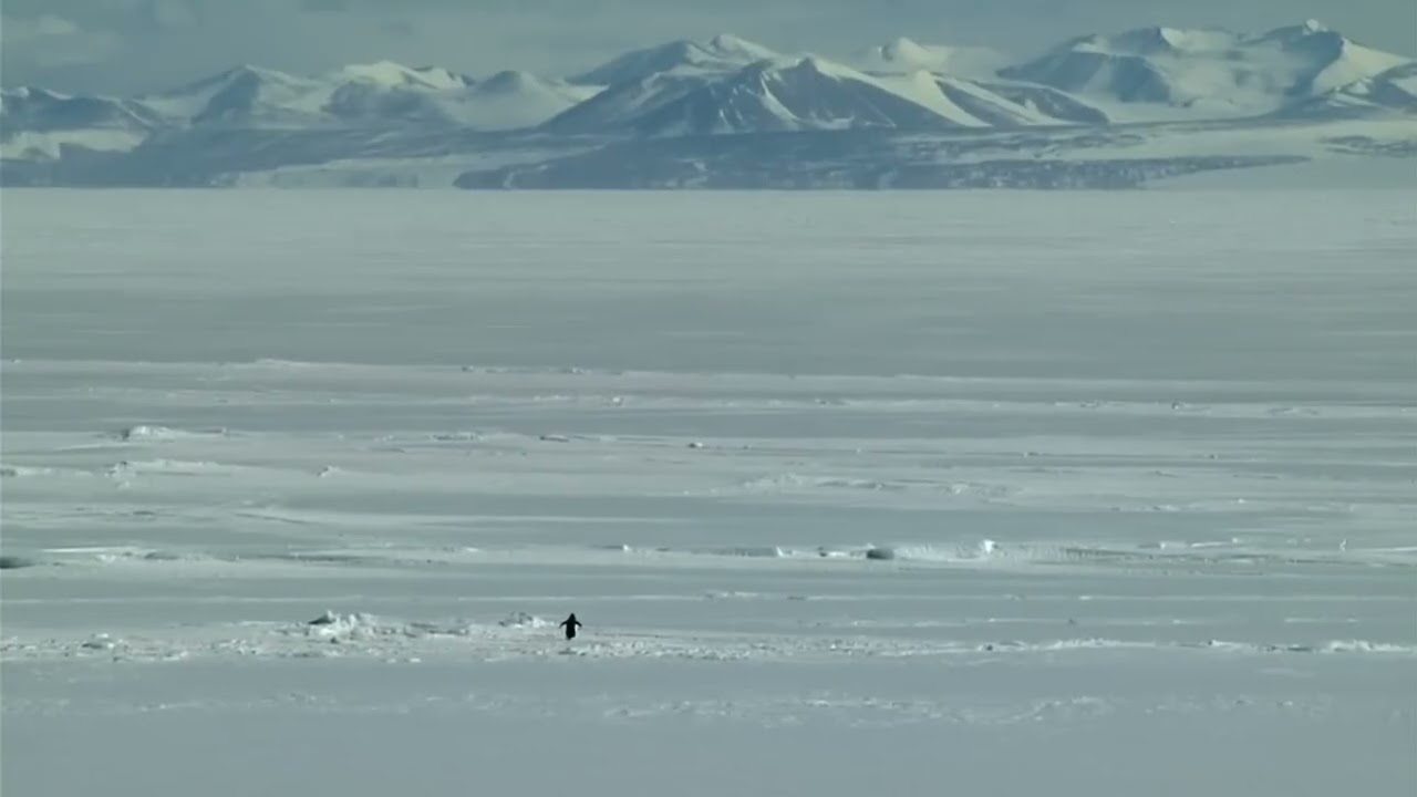 The Road Feels Heavy • Healing Music for Those Still Walking