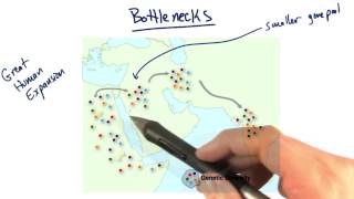 Bottlenecks - Tales from the Genome