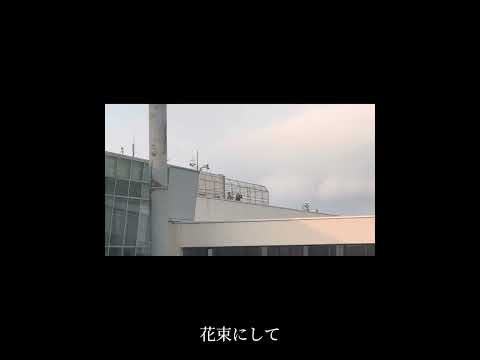 【低音女子が】花束にして wacci【歌ってみた】