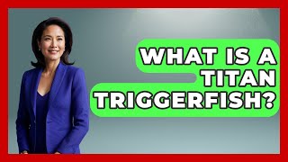 What Is A Titan Triggerfish? - The Marine Life Explorer
