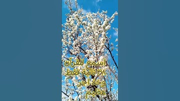#أجمل_تلاوات_القرآن #تلاوة_نادرة_لاول_مرة #قرآن #عبد_الباسط_عبد_الصمد #quran_chromatics_1 #اكسبلور