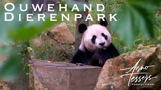 Ouwehand Dierenpark dagje uit