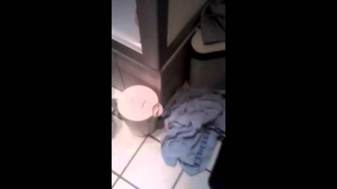 Bong Reinigung in 5 Minuten