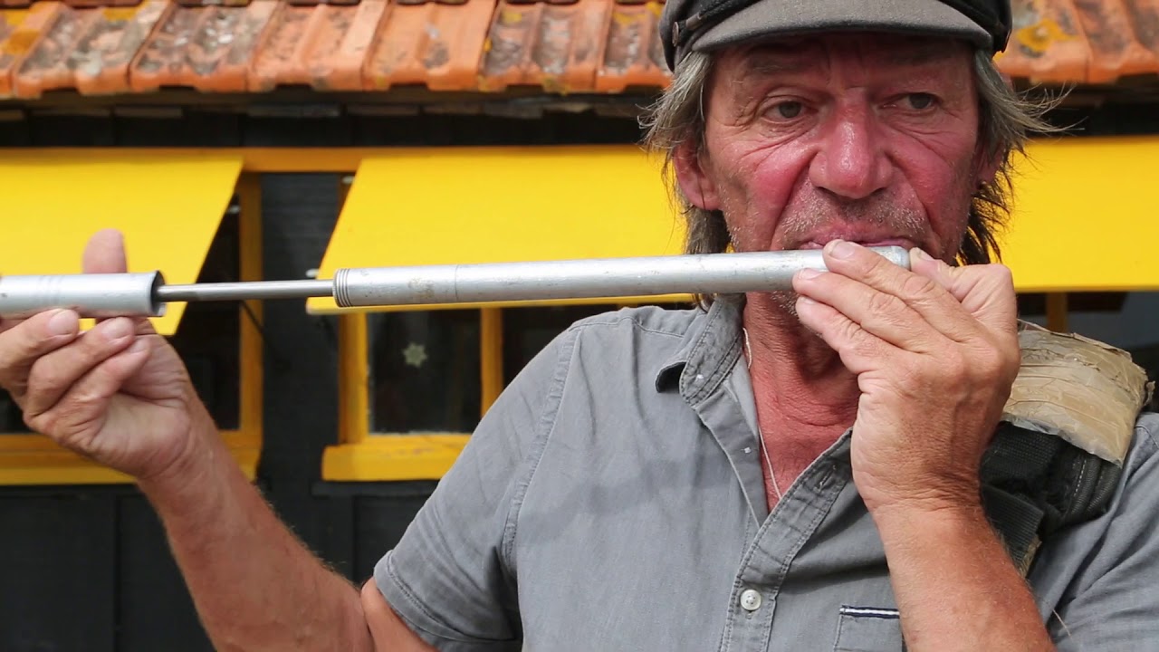 France Oleron island Musician / France Charente maritime Ile d'Oléron Le château Musicien