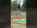   report indian flag emotional motivation shorts indianarmy  bashisht birana