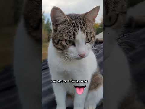 2 ноября 2023 г.