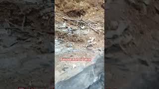 senangnya walaupun cuma batu