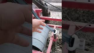 High-tech FarmingTechniques  Carrot Seeds On The Ropes #satisfying #short