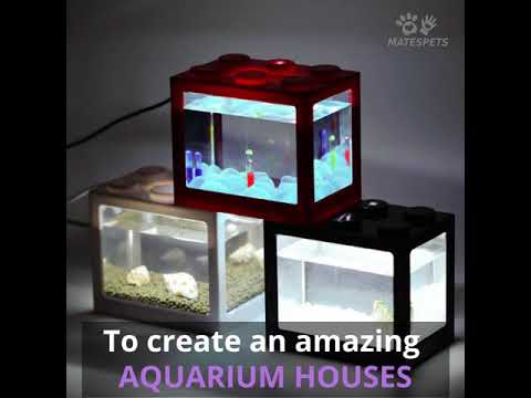 The LEGO Styled Mini Fish Tank - YouTube