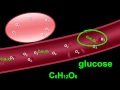 Understanding Chemical Bonds and Molecules