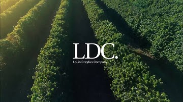 DBS Insights for Business Leaders – Food & Agribusiness ESG Series: Sustainable Supply Chain (LDC)