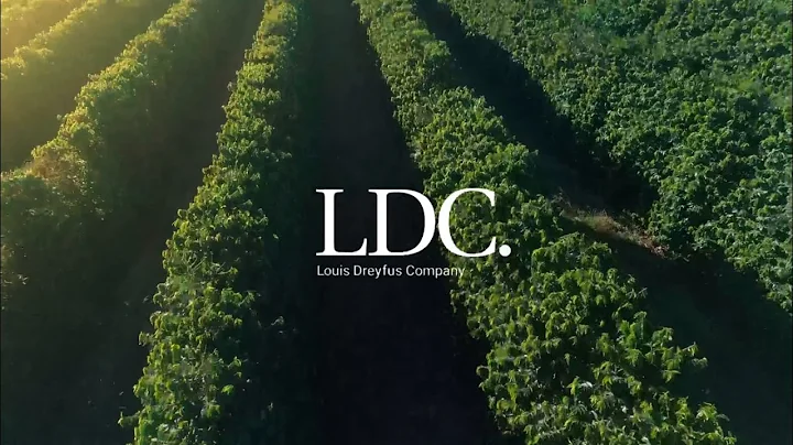 DBS Insights for Business Leaders – Food & Agribusiness ESG Series: Sustainable Supply Chain (LDC)