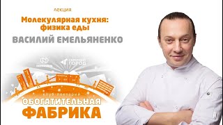 ВАСИЛИЙ ЕМЕЛЬЯНЕНКО 