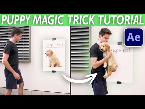 GRABBING DOG FROM POSTER (Zach King Style) - After Effects VFX Tutorial