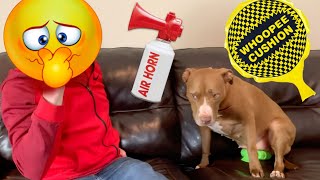 With april fools day coming up penny and i decided to start a prank
war. we both got each other pretty bad, but she may have won this
round. let us know if y...