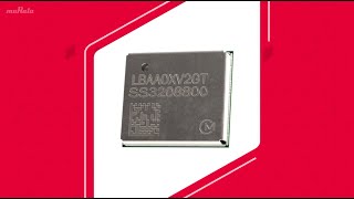 Murata Electronics Europe | Type 2GT (LBAA0XV2GT-001)