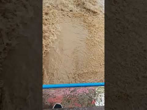 سنيريا جنوب قلقيلية واد شامي
