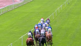 Vidéo de la course PMU PRIX DES RHODODENDRONS