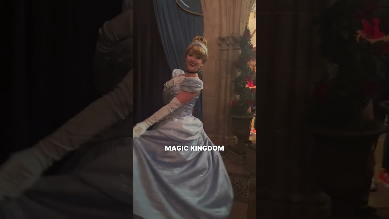 Guest Sues Disney After Finding Glass in Food at Cinderella's Royal Table😳😱 (She Bit Into It😲)