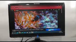 Monitor Lcd Lenovo LS1921wa 4425-hc1 18 5 Pl C/detalhes Z1198