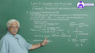 _Molecular Basis of Inheritance_2 Gene expression - translation