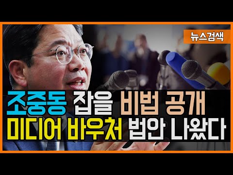 미디어 <strong>바우처</strong> 법안 드디어 나왔다