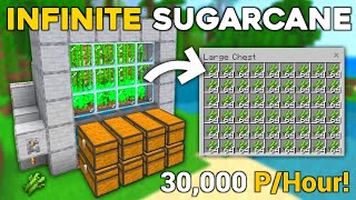 Minecraft: The Fastest Automatic Sugarcane Farm Bedrock 1.20!