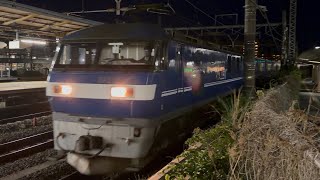 【4K高画質】【コンテナ満載のトヨタロングパスエクスプレス】JR貨物EF210形100番台115号機（新塗装）＋コキ20両が大船駅を通過！（2050レ・新A160・コンテナ輸送）2026.5.26