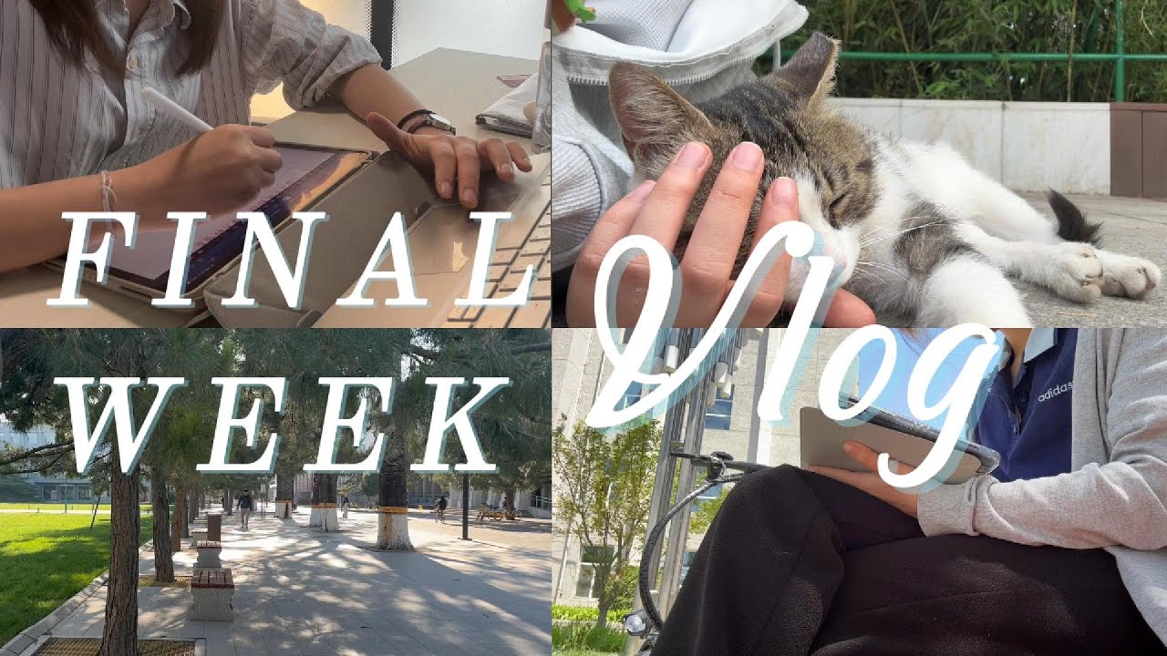 Final week vlog, reading & go to library day and night | Renmin University of China