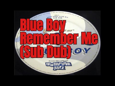 Blue Boy Remember Me Vinyl 12 -A2 Remember Me Sub Dub OM Records