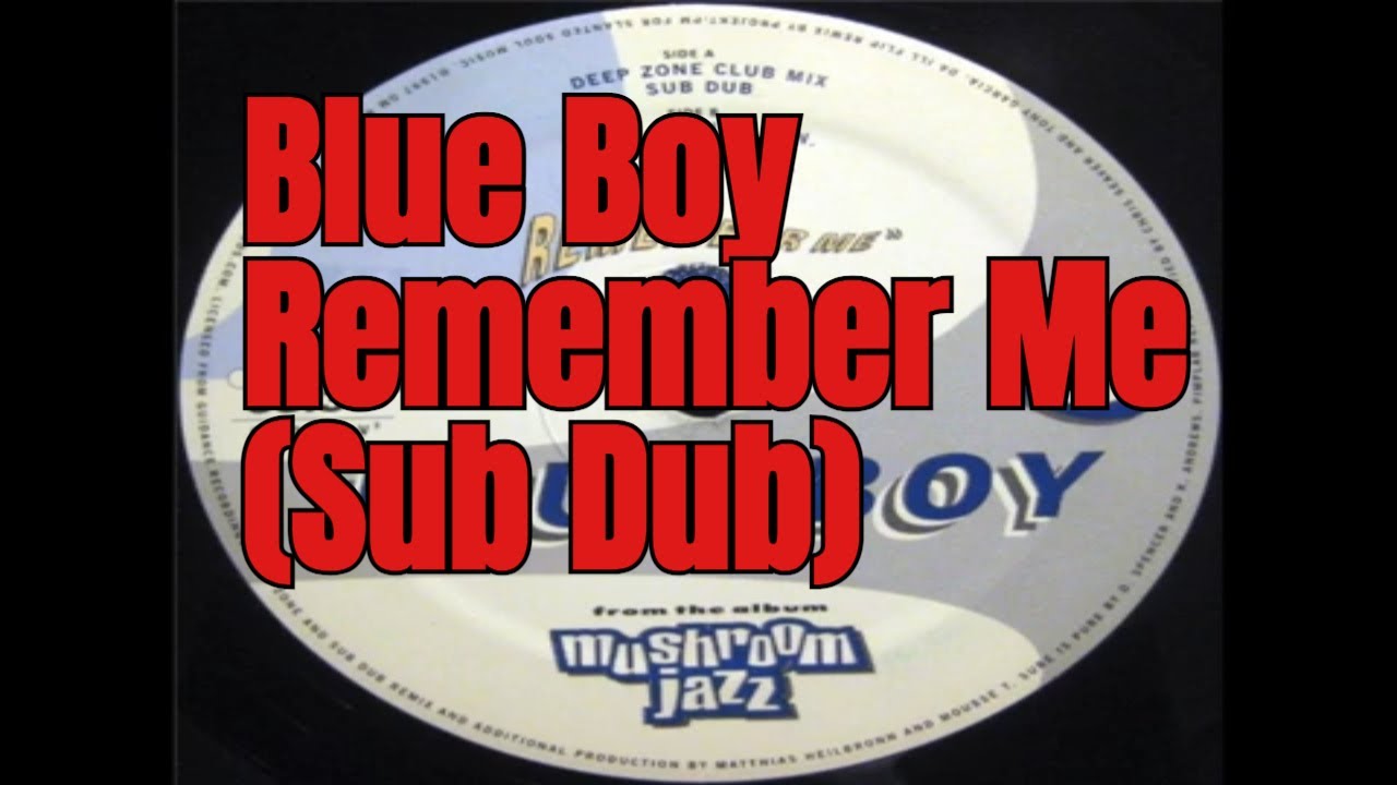 Blue Boy Remember Me Vinyl 12 -A2 Remember Me Sub Dub OM Records
